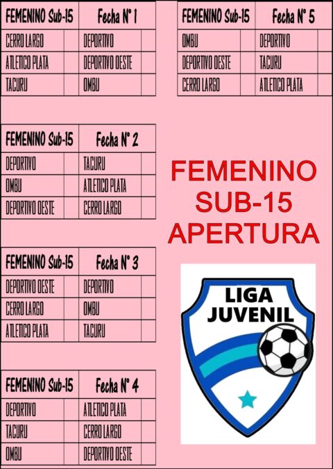 SUB 15 FEMENINO